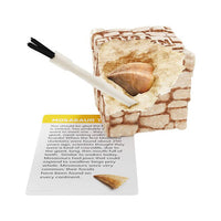 Kids Fossil Dig Brick