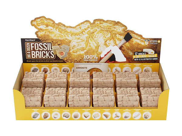 Kids Fossil Dig Brick