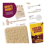 Large Fossil Dig Kit