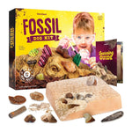 Large Fossil Dig Kit