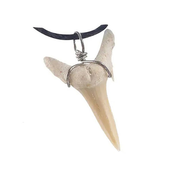 Fossil Shark Tooth Necklace