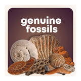 Large Gem, Fossil & Mineral Kit